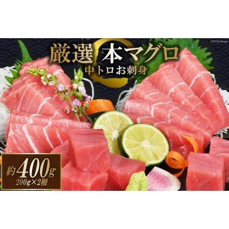 ふるさと納税 まぐろ 本マグロ背トロ 約400g(200g×2柵) 中トロ 刺身 冷凍 [豊洋海産流通 宮城県 気仙沼市 20562453]  宮城県気仙沼市