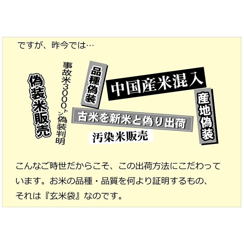 青天の霹靂 玄米 30kg 令和5年産　青森県産　一等米