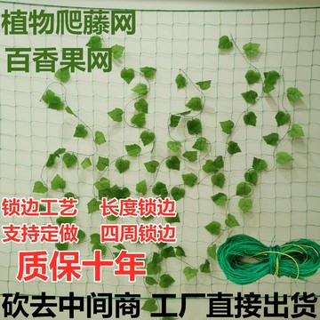 爬藤網拉繩搭架網薔薇支架網植物牽牛花塑料月季豆角花藤花架苦瓜