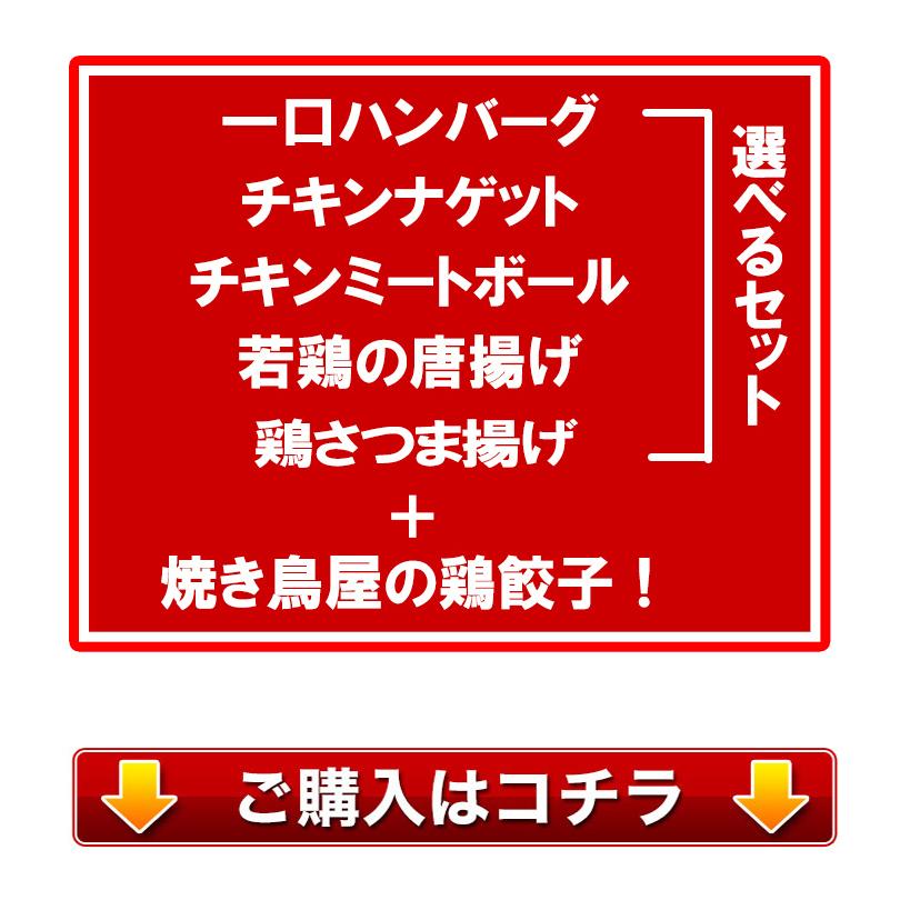 餃子 大人気 焼き鳥屋の鶏餃子(500g 一個約28g)と選べるメガ盛りお惣菜2パックセット