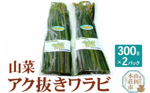 山菜 秋田県産 アク抜きワラビ 300g×2パック （発送は5月頃）