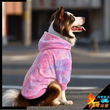 【台灣出貨】寵物衣服 大狗衣服 狗狗兩腳衣服 大型犬金毛 薩摩耶 拉布拉多狗狗衣服