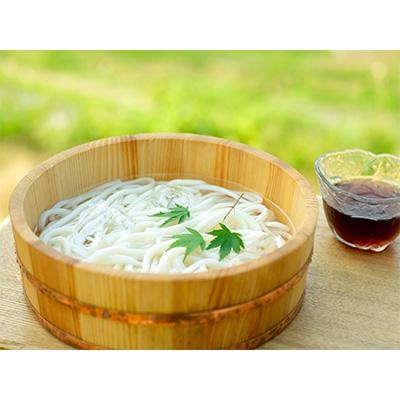 ふるさと納税 小豆島町 小豆島産　半生うどん(250g)　28個入