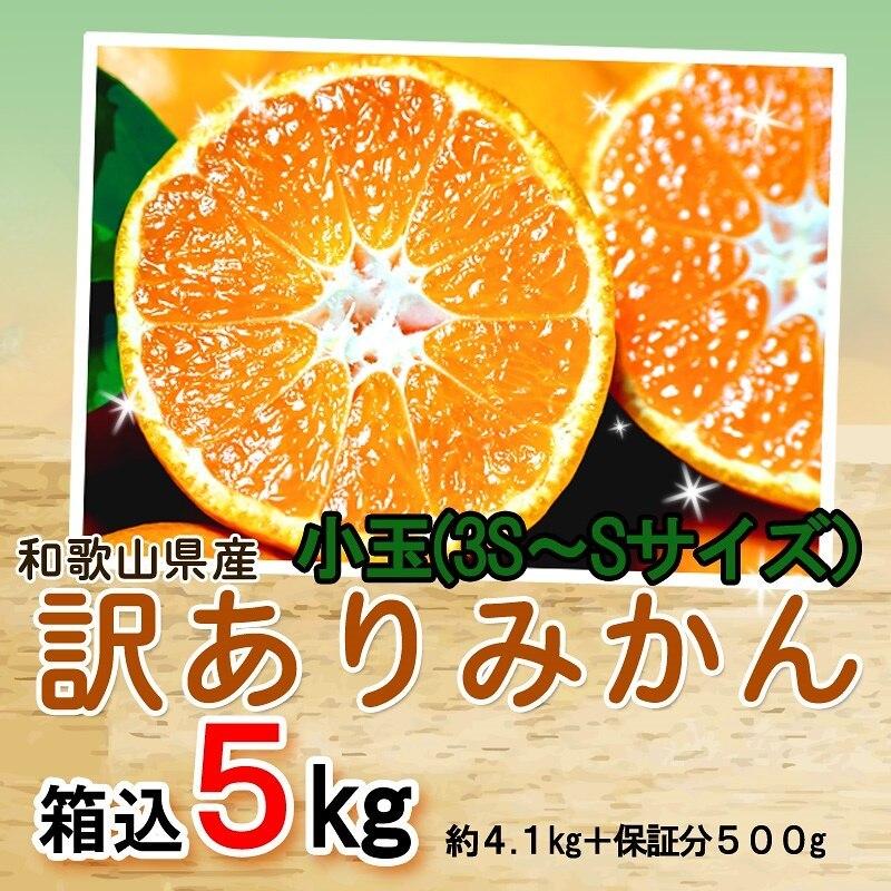 みかん 小玉（3S-Sサイズ） 5kg（箱込約5kg） 和歌山県産 訳あり・ご家庭用 送料無料（東北・北海道・沖縄県除く）