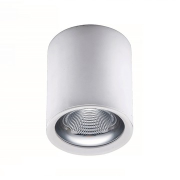 30W吸頂筒燈 B18-55-62084