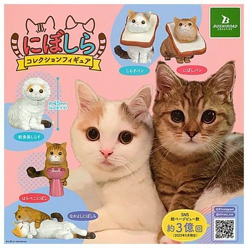 <蛋黃限定>🐈新貨到🍞 NIBOSHIRA 貓咪公仔 扭蛋 挑款 全新現貨^^