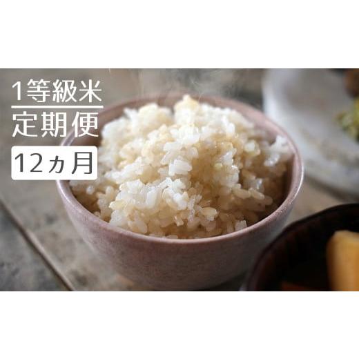 ふるさと納税 福岡県 小郡市 1粒からこだわる1等級米 ヒノヒカリ 玄米(10kg×12回）