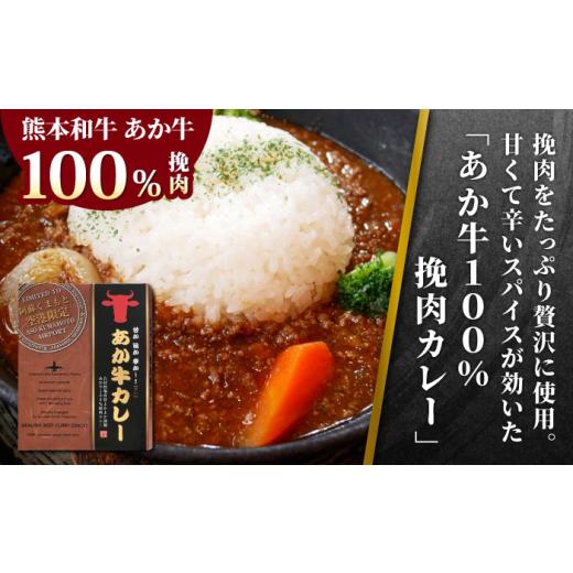 ふるさと納税 熊本県 山都町 熊本県産 あか牛 カレー詰め合わせセット 計4個 カレー 2種 各2個 熊本和牛[YCG063] 45…