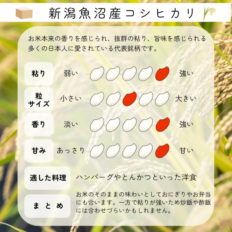 米 お米 4kg 新潟 魚沼産 コシヒカリ 白米 4キロ 令和4年産 送料無料 2kgx2袋 こしひかり 精米 送料無料