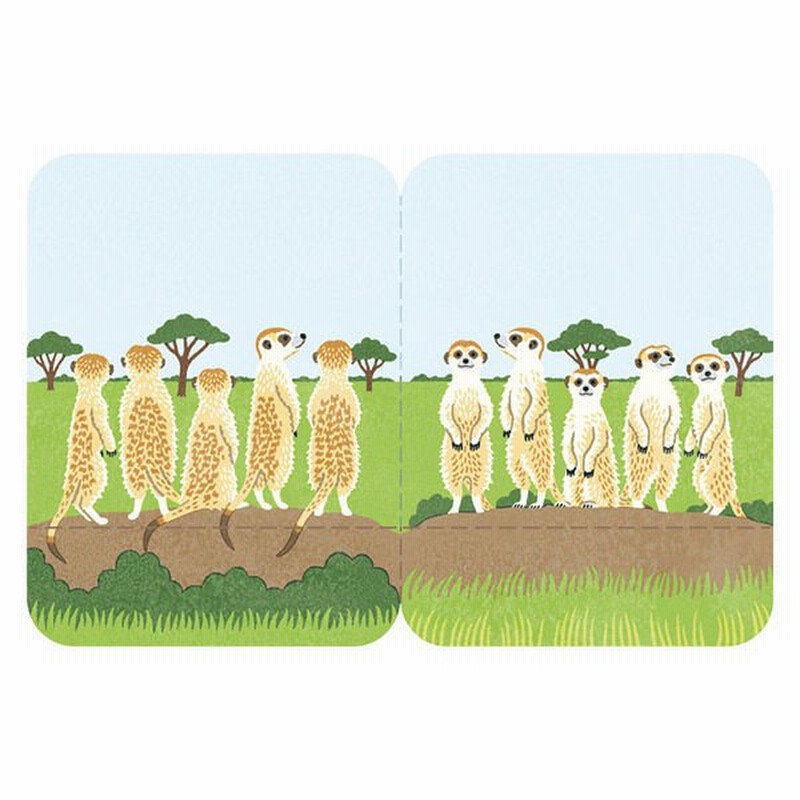 キングジムキングジム フタマタフセン イラストタイプ Lサイズ ミーアキャット 1冊30枚入 3580 006 通販 Lineポイント最大0 5 Get Lineショッピング