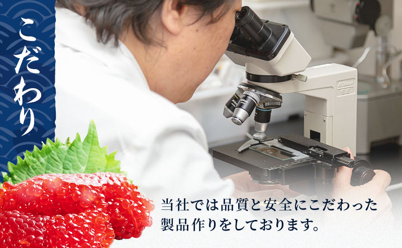 すじこ 訳あり 北海道 紅鮭 筋子 醤油 漬け 500g (250g×2個入） 加藤水産 ひとくちカット 不揃い ごはんのお供 惣菜 おかず 珍味 海鮮 海産物 魚介 魚介類 おつまみ つまみ いくら イクラ 訳アリ わけあり 冷凍