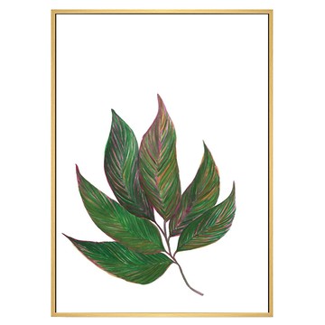 Boluo 菠蘿選畫所 植栽生活 扇葉 掛畫 40 x 30cm 木色外框 簡約時尚 清新自然  原木色