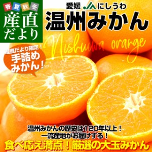 愛媛県より産地直送 JAにしうわ 西宇和温州みかん 2Lサイズ 約3キロ　送料無料 みかん ミカン 蜜柑