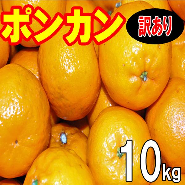 愛媛産　ポンカン　訳あり家庭用　１０ｋｇ　送料無料　産地直送