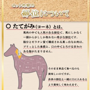 FKK19-578_馬刺しの詰合せ　訳あり ではない 馬刺し 馬刺 熊本県 くまもと 肉 馬肉 詰め合わせ ギフト 贈り物 贈答 中元 お中元 父の日 霜降り 上 赤身 大トロ トロ 食べ比べ 食べくらべ セット つまみ おつまみ 冷凍 お取り寄せ 真空パック 産地直送 晩酌  新鮮