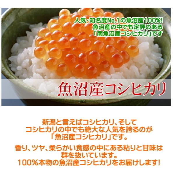 感謝の粗品 最高級銘柄米 魚沼産コシヒカリ 300g 2合 x5袋セット 御礼 景品 プチギフト 記念品 お返し 人気