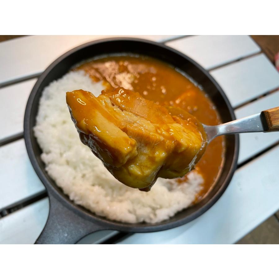 キャンプ AIZU CAMPFOOD ごろごろ豚角煮贅沢カレー210ｇ×2個 レトルトカレー 角煮カレー