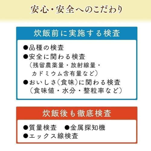 アイリスオーヤマ 低温製法米 パックごはん 国産米 100% 非常食 米 120g×10個