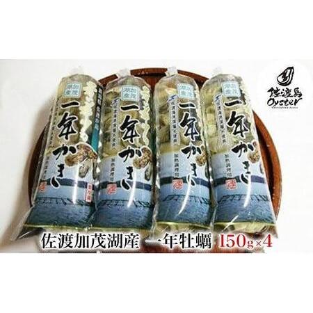 ふるさと納税 一年牡蠣　むき身（150g×4袋） 新潟県佐渡市