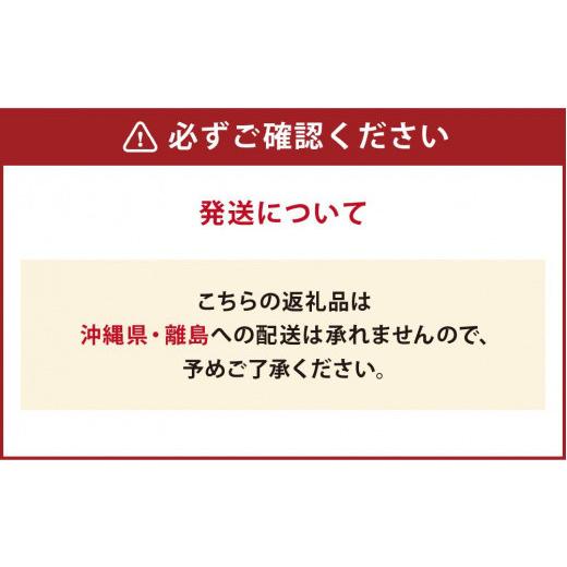 ふるさと納税 北海道 札幌市 北海　海十丼　250ｇ×2