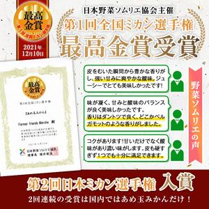 ふるさと納税 i570 ＜2023年11月上旬〜2024年1月下旬の間に発送＞温州みかん日本一！濃甘あめ玉みかん(約6kg・1箱＋傷.. 鹿児島県出水市