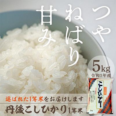 ふるさと納税 京丹後市 令和5年産　丹後こしひかり1等米5kg