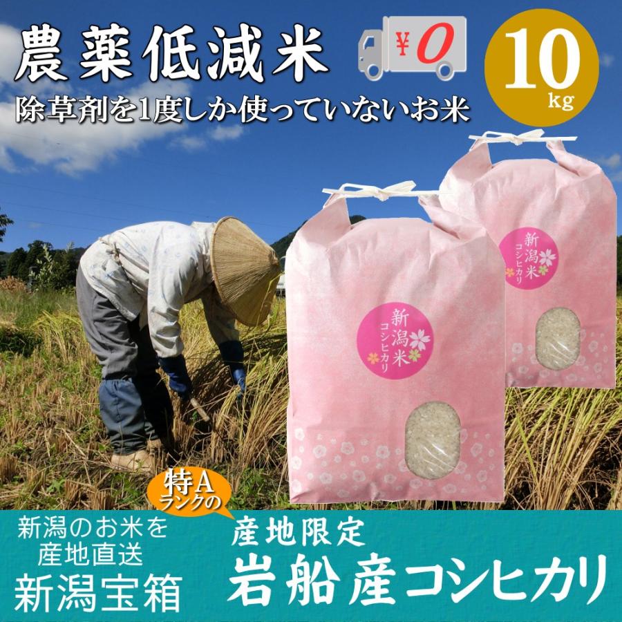 新潟県岩船産 コシヒカリ 5kg×2袋 10kg 除草剤を1度しか使っていない米 お米 白米 特A 送料無料