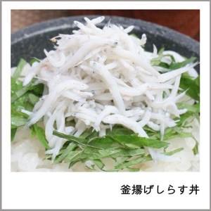 紀州湯浅湾直送！海の恵　茹でたて釜揚げしらす　500g　