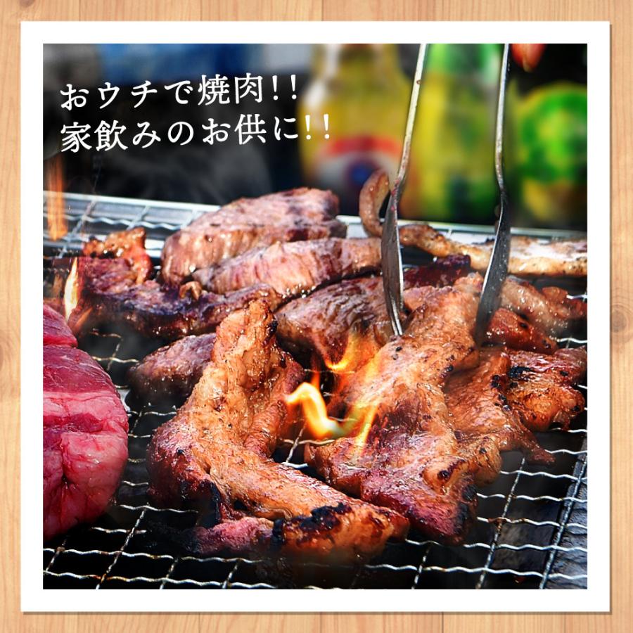 焼肉 牛肉 3kg 焼肉セット 5-9人前 ハラミ カルビ ホルモン 豚肉 送料無料