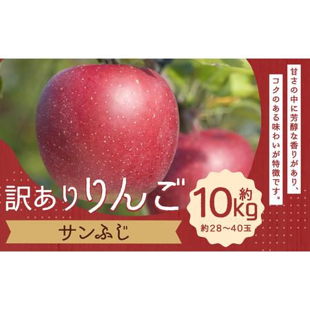 ふるさと納税 訳あり りんご (サンふじ) 10kg 岩手県二戸市