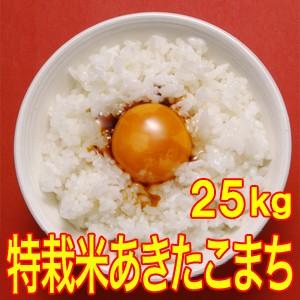 送料無料(北海道・九州・沖縄除く)令和5年産 新米 こだわり！特別栽培米秋田県仙北産あきたこまち25kg