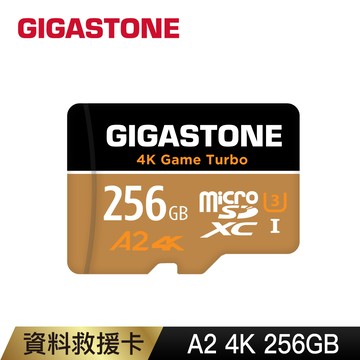 Gigastone Data Recovery 256GB microSDXC UHS-I A2 U3 資料救援記憶卡(Game Turbo高速卡)