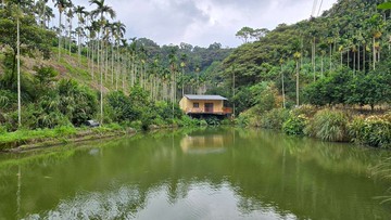 關西長壽之鄉~寧靜休閒屋+觀景魚池｜新竹縣關西鎮石門