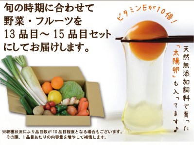 旬の野菜・フルーツセット定期便 13品目から15品目の豪華セット