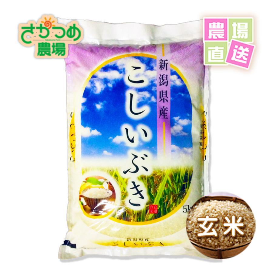 お米　こしいぶき　5kg　令和5年　新潟産　玄米　産地直送