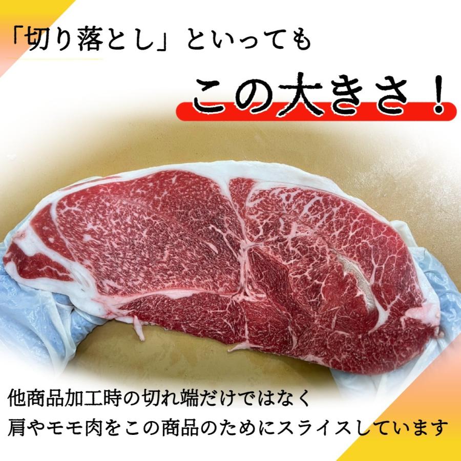 神戸牛 お徳用切り落とし 100g単位の量り売り 肩・モモ肉 ご家庭用 お試し 黒毛和牛 グルメ ギフト