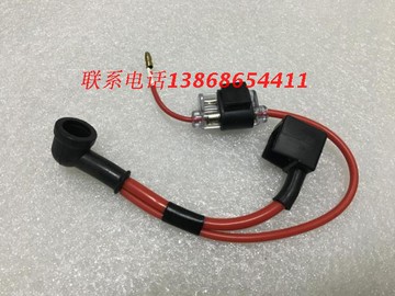 珠峰雅馬哈ZF125T-7歐洲霸王馬杰斯特125歐霸125YP125電瓶保險絲