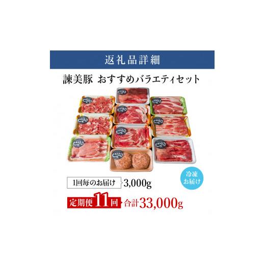 ふるさと納税 長崎県 諫早市 『定期便』_諫美豚(かんびとん)おすすめバラエティセット3kg_全11回