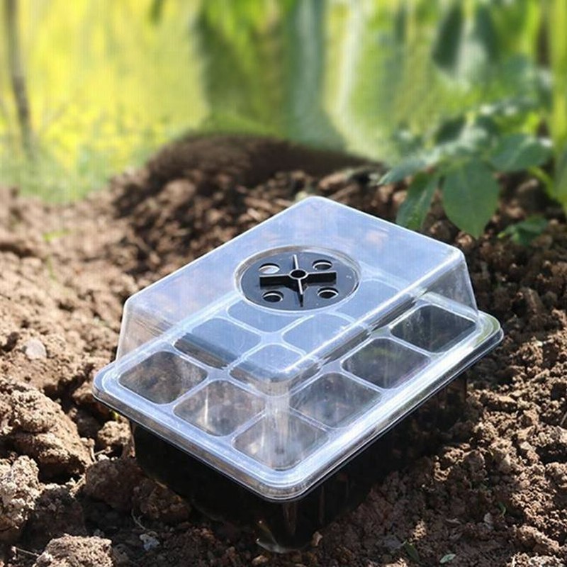 ハウス型植物Box青色 | www.harvestwineco.com