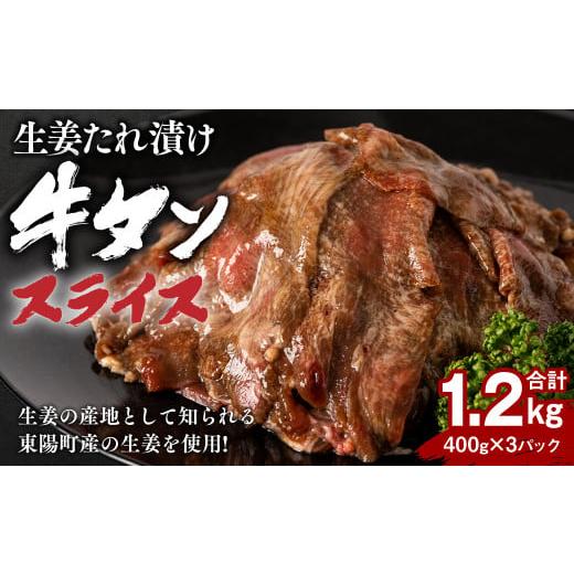 ふるさと納税 熊本県 八代市 東陽町産 生姜たれ漬け 牛タンスライス 1.2kg (400g×3パック)