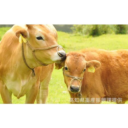 ふるさと納税 カルビ・モモ焼肉用　各200g 高知県香美市