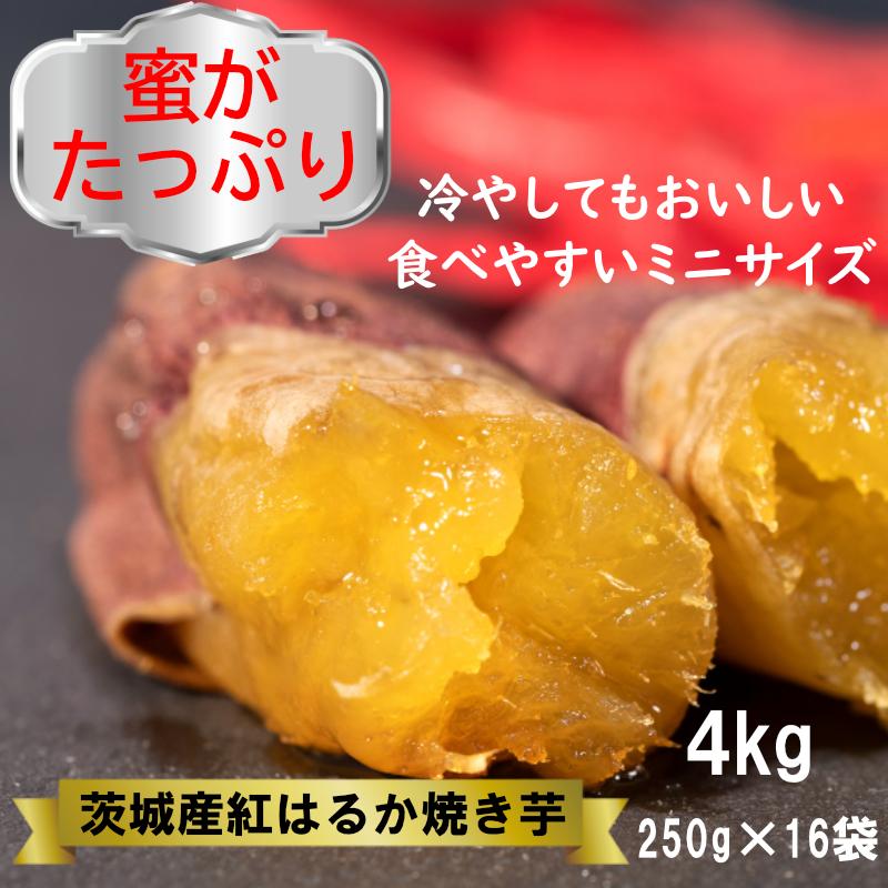 焼き芋 4kg 紅はるか ミニサイズ 焼きいも ヤキイモ 茨城県産 さつまいも　おやつ　ギフト 冷やし焼き芋