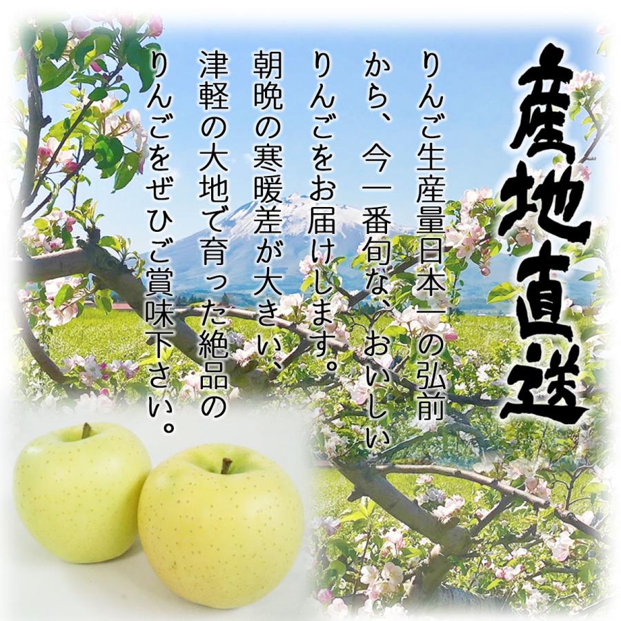 りんご 王林 3kg （約8玉〜14玉入り）2023年産 青森県産りんご ご家庭用 訳あり 産地直送 工藤農園