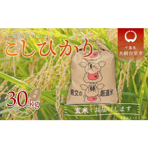 ふるさと納税 千葉県 大網白里市 令和5年産 千葉県産エコ米「コシヒカリ」玄米30kg（30kg×1袋） ふるさと納税 玄米 30kg 千葉県産 大網白里市 コシヒ…