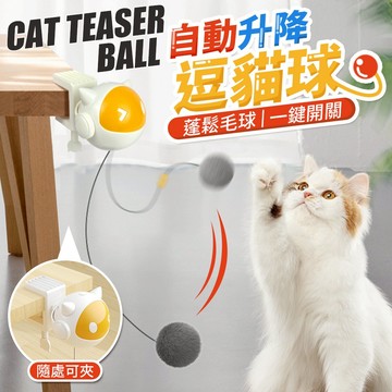 【台灣現貨】電動升降逗貓球 貓玩具 逗貓棒 自動逗貓 貓咪玩具 寵物玩具 逗貓玩具 逗貓球 升降球 自動 電動 福媽寵物