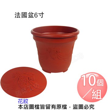 法國盆6寸10個/組