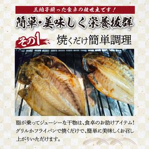 ふるさと納税 元漁師が手掛ける厳選干物 3種（連子鯛、アジ、サバ）合計32枚 佐賀県玄海町