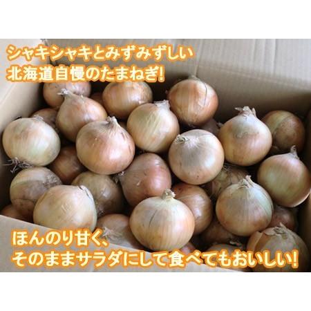 玉ねぎ 20kg 送料無料 北海道産 たまねぎ 20kg Lサイズ 共選 北海道 富良野産 もしくは 北見F1 野菜 玉ねぎ