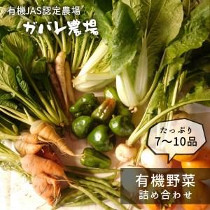 ふるさと納税 ガバレ農場の季節の有機野菜詰め合わせセット 埼玉県鴻巣市