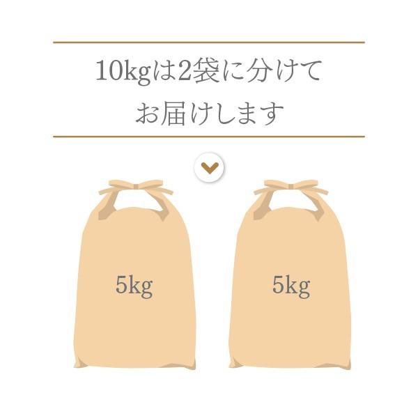 新米が入荷しました 白米 10kg (5kg×2袋) ミルキークイーン 京都丹後産「令和5年産」